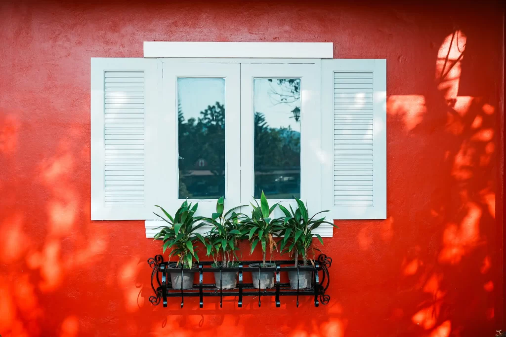 A vibrant red wall with a white-framed window featuring closed shutters. Below the window, five potted plants are nestled in a decorative black metal holder. Dappled sunlight creates shadows on the surface.